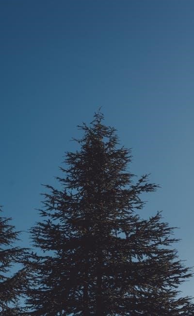 pexels-photo-14846324