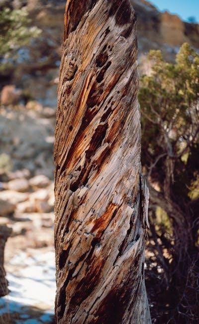 pexels-photo-19371406