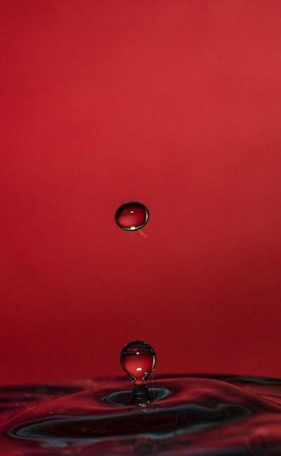 pexels-photo-2604929