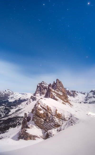 pexels-photo-33149778